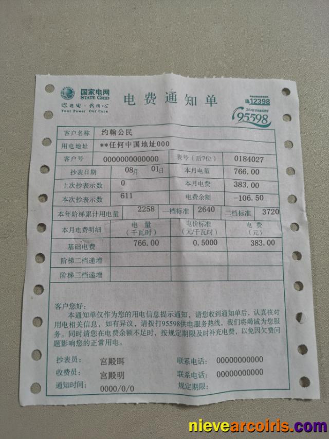 China State Grid Corporation of China SGCC electricity utility bill photolook